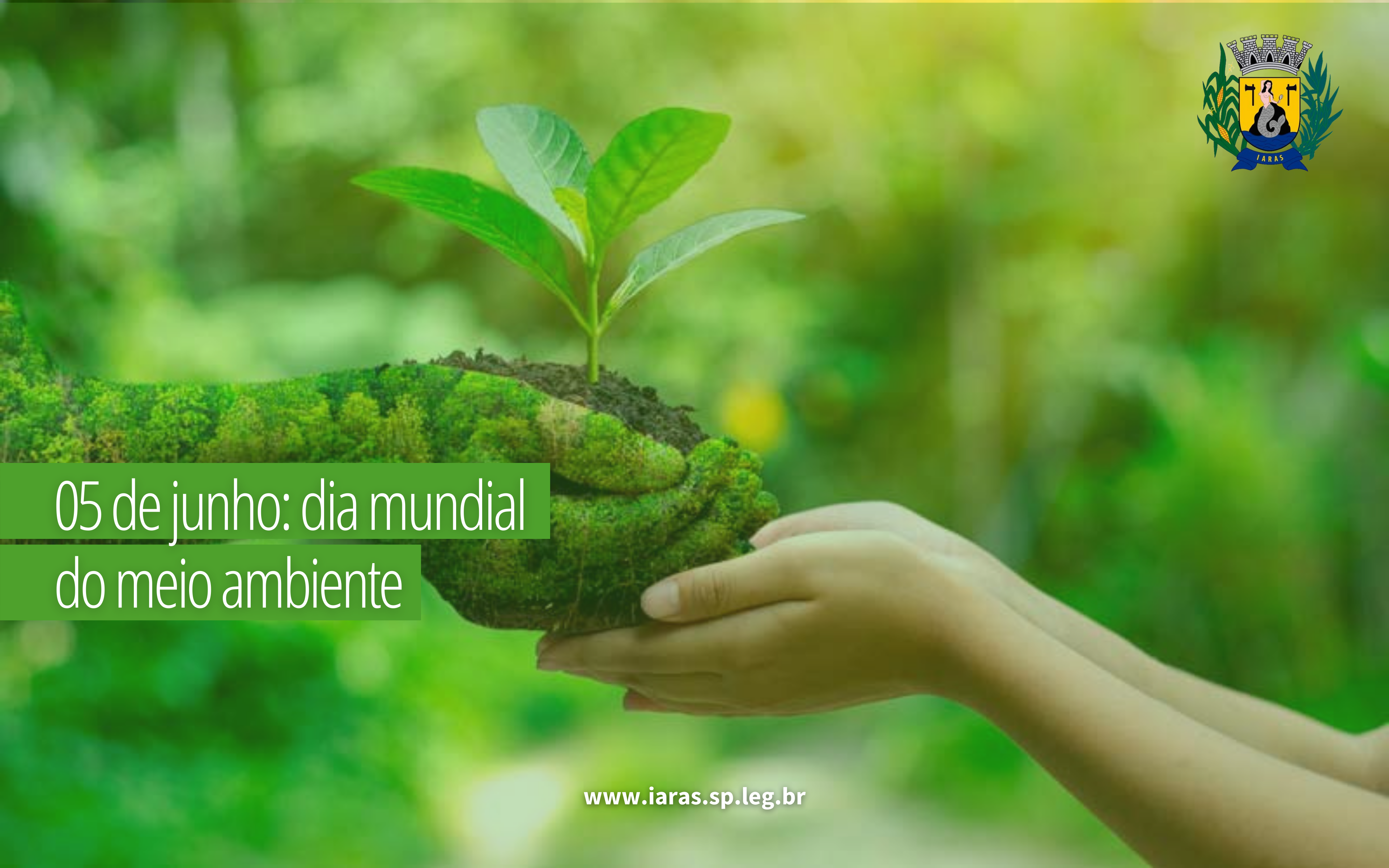 05 de junho: dia mundial do meio ambiente