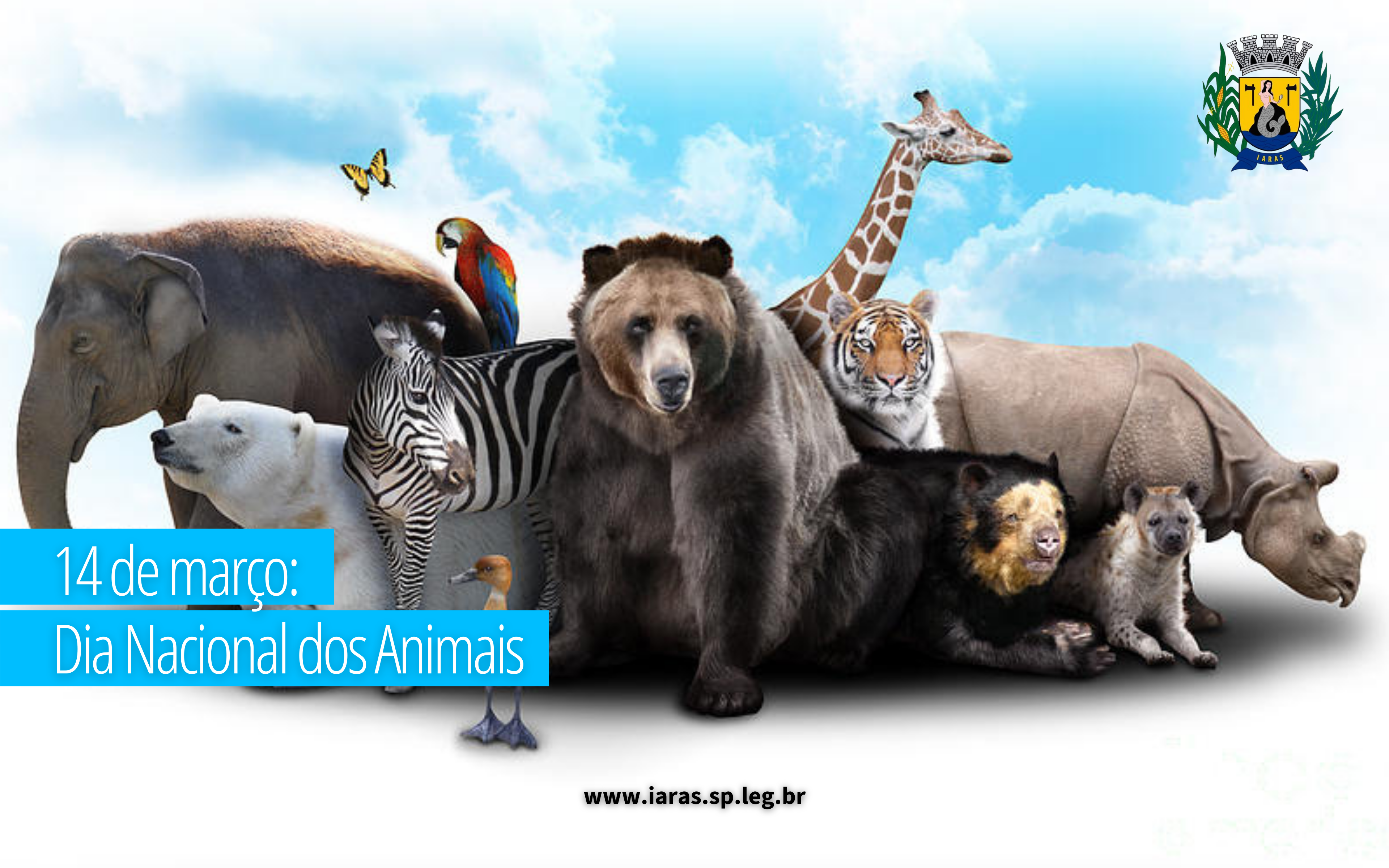14 de março: Dia Nacional dos Animais
